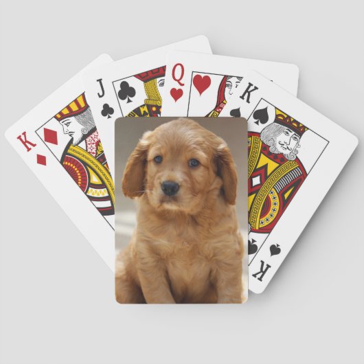 Foto van Cute Puppy Portret Pokerkaarten (Achterkant)
