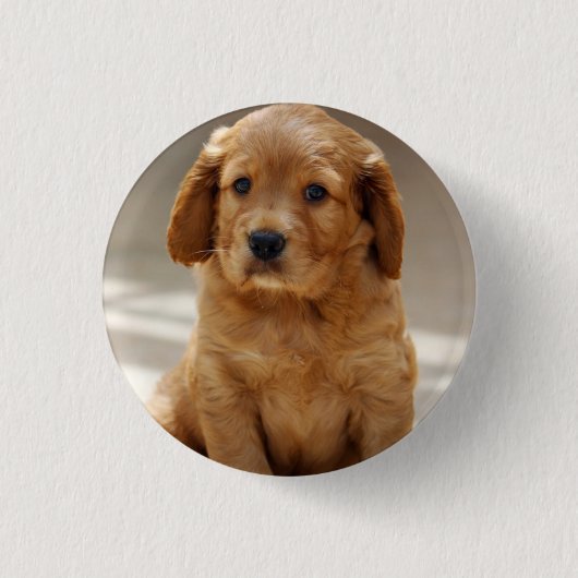 Foto van Cute Puppy Portret Ronde Button 3,2 Cm (Voorkant)