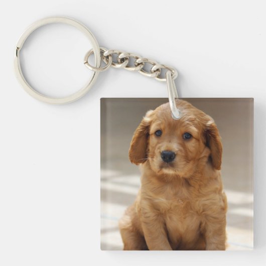 Foto van Cute Puppy Portret Sleutelhanger (Voorkant)
