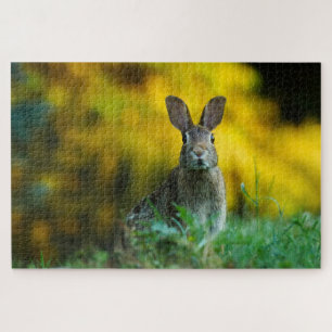 Foto van Cute rabbit Legpuzzel