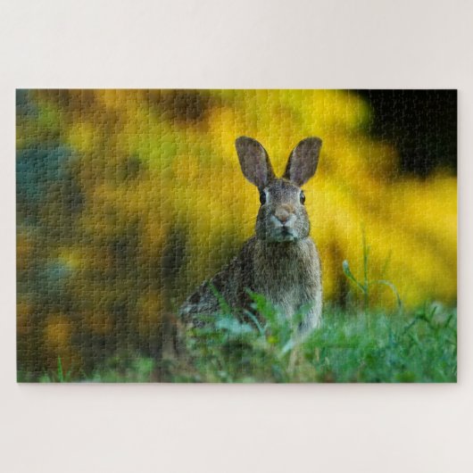 Foto van Cute rabbit Legpuzzel (Horizontaal)