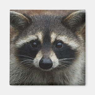 Foto van Cute Raccoon Face Magneet