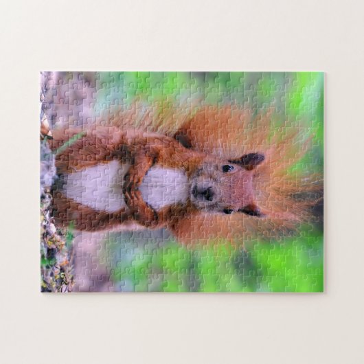 Foto van Cute Red Squirrel Legpuzzel (Horizontaal)