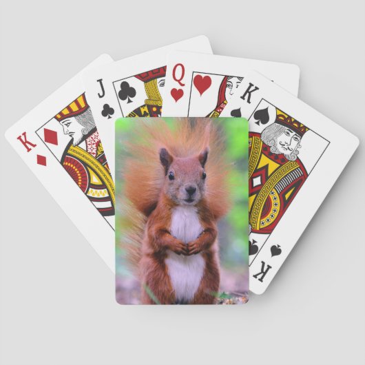 Foto van Cute Red Squirrel Pokerkaarten (Achterkant)