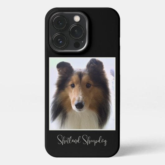 Foto van Cute Shetland Sheepdog iPhone Hoesje (Achterkant)