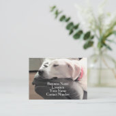 Foto van Cute Sleeping White Dog op Couch Visitekaartje (Staand voorkant)