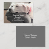 Foto van Cute Sleeping White Dog op Couch Visitekaartje (Voorkant / Achterkant)