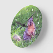 Foto van Cute Squirrel Wildlife Ronde Klok (Hoek)