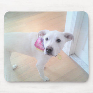 Foto van Cute Sweet White Puppy Dog Face Muismat