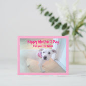 Foto van Cute Sweet White Puppy Dog Moederdag Briefkaart (Staand voorkant)