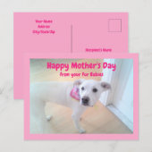 Foto van Cute Sweet White Puppy Dog Moederdag Briefkaart (Voorkant / Achterkant)