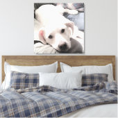 Foto van Cute Tired dog met papa op Couch Square Canvas Afdruk (Insitu (Slaapkamer))