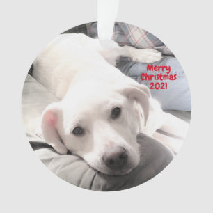 Foto van Cute Tired Puppy dog met Pap Kerstmis Ornament