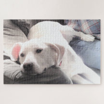 Foto van Cute Tired White Dog Hanging Out with Dad