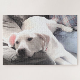 Foto van Cute Tired White Dog Hanging Out with Dad Legpuzzel