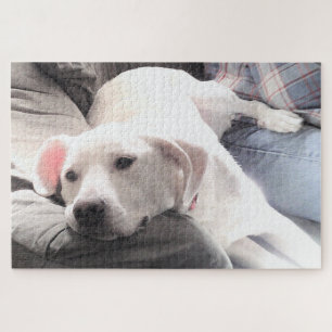 Foto van Cute Tired White Dog Hanging Out with Dad Legpuzzel