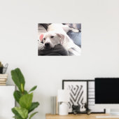 Foto van Cute Tired White Dog met Best Friend Dad Poster (Thuiskantoor)
