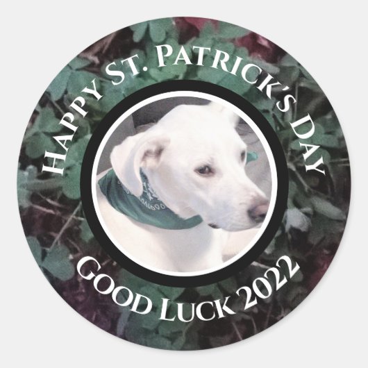 Foto van Cute White Dog Green Shamrocks Clovers Ronde Sticker (Voorkant)