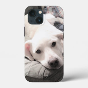 Foto van Cute White Dog Hanging Out with Dad Case-Mate iPhone Case