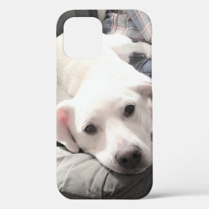Foto van Cute White Dog Hanging Out with Dad Case-Mate iPhone Case