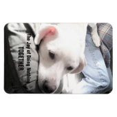 Foto van Cute White Dog Hanging Out with Dad Magneet (Horizontaal)