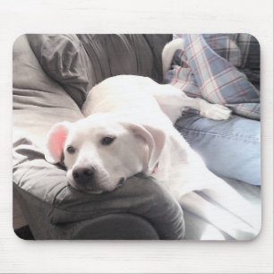 Foto van Cute White Dog Hanging Out with Dad Muismat