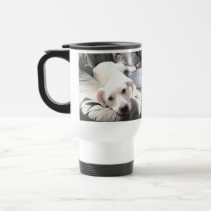Foto van Cute White Dog Hanging Out with Dad Reisbeker