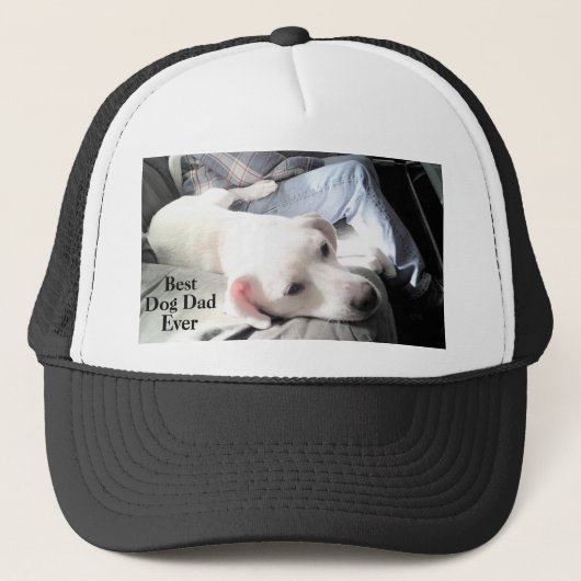 Foto van Cute White Dog Hanging Out with Dad Trucker Pet (Voorkant)