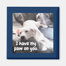 Foto van Cute White Dog met back Paw op papa Magneet