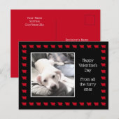 Foto van Cute White Dog met beste vriend papa Briefkaart (Voorkant / Achterkant)