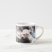 Foto van Cute White Dog met beste vriend papa Espresso Kop (Rechts)