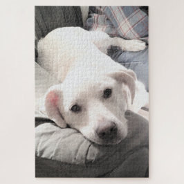 Foto van Cute White Dog met pa op Couch Legpuzzel
