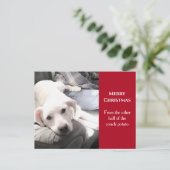 Foto van Cute White Dog met pap Red Kerstmis Feestdagenkaart (Staand voorkant)