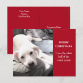 Foto van Cute White Dog met pap Red Kerstmis Feestdagenkaart (Voorkant / Achterkant)