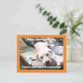 Foto van Cute White Dog met papa Thanksgiving Briefkaart (Staand voorkant)