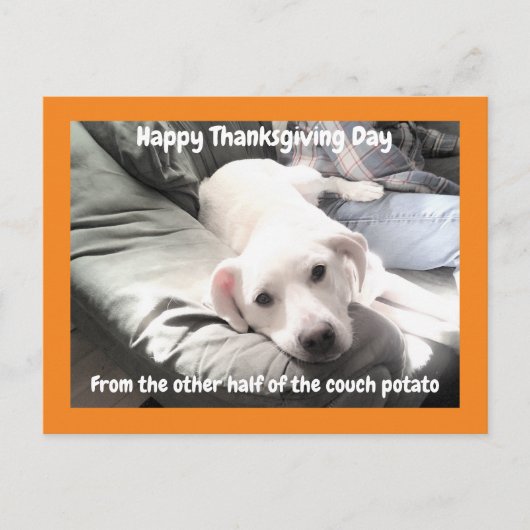 Foto van Cute White Dog met papa Thanksgiving Briefkaart (Voorkant)