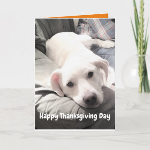 Foto van Cute White Dog met papa Thanksgiving Kaart