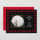 Foto van Cute White Dog opgetild als een kat Briefkaart (Voorkant / Achterkant)