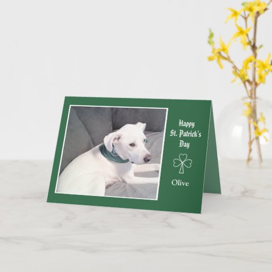 Foto van Cute White Dog Shamrocks and Clovers Kaart (Gele Bloem)