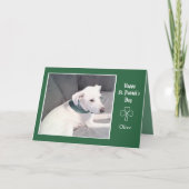 Foto van Cute White Dog Shamrocks and Clovers Kaart (Voorkant)
