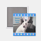 Foto van Cute White Dog Wearing Easter Bunny Ears Magneet (Voorkant / Achterkant)
