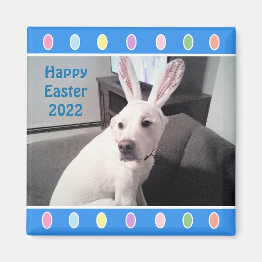 Foto van Cute White Dog Wearing Easter Bunny Ears Magneet (Voorkant)