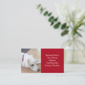 Foto van Cute White Dog Wearing Red Collar Visitekaartje (Staand voorkant)