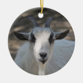 Foto van Cute White Goat Portrait Keramisch Ornament