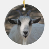 Foto van Cute White Goat Portrait Keramisch Ornament (Achterkant)