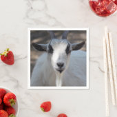 Foto van Cute White Goat Portrait Servet (Insitu)