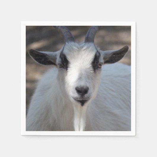 Foto van Cute White Goat Portrait Servet (Voorkant)
