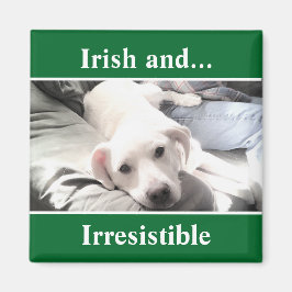 Foto van Cute White Labrador Mix St. Patrick's Day Magneet