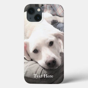 Foto van Cute White Labrador Retriever Mix Dog Case-Mate iPhone Case