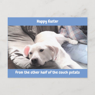 Foto van Cute White Lazy Dog met papa Blue Feestdagenkaart
